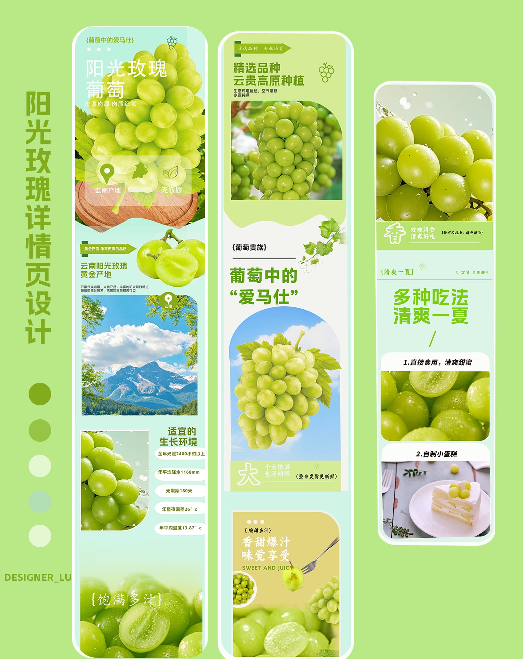 平面设计阶段作品